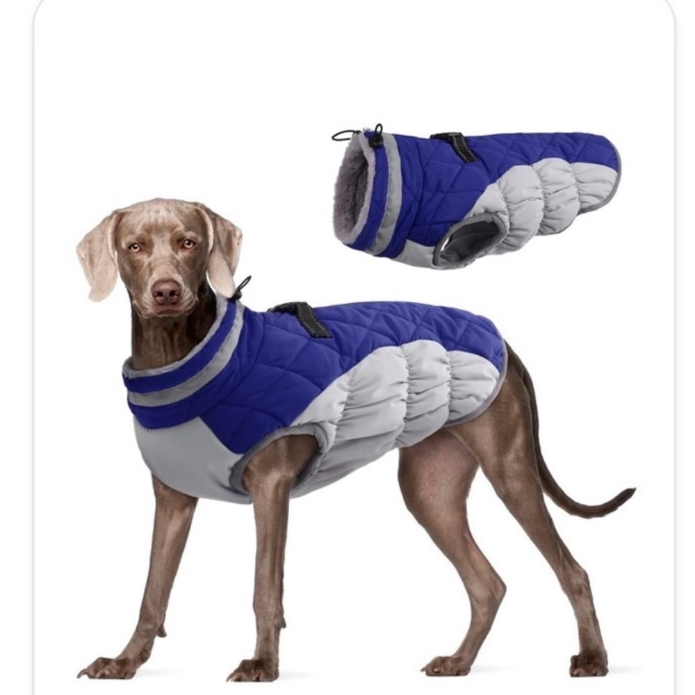 Waterproof winter dog jacket.
